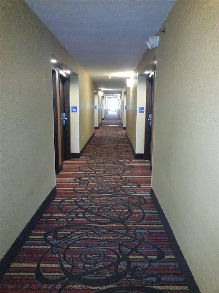 Holiday Inn Express Fredericksburg - Southpoint By Ihg Dış mekan fotoğraf